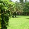 DSCN0731