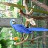 Busch Gardens 2006