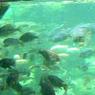 DSCN0809