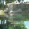 DSCN0811