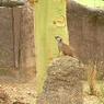 Busch Gardens 2006