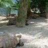 DSCN0831