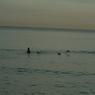 DSCN0860