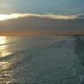 DSCN0868