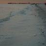 DSCN0870