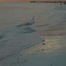 DSCN0871