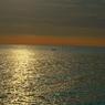 DSCN0874