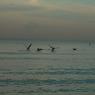 Sunset_ReddingtonBch