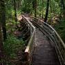 arethusa_falls