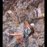 ZipLine
