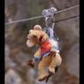 ZipLine
